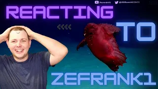 Reacting to Zefrank funny sea cucumber video, hilarious.