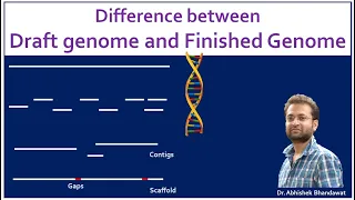 What is draft and a finished genome? What is the difference?