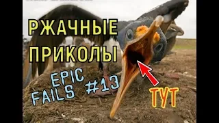 😂РЖАЧНЫЕ ПРИКОЛЫ! epic fails #13