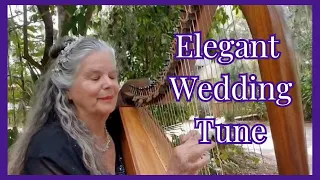 Hallelujah, Leonard Cohen. Harp Cover, De Luna