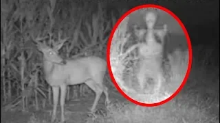 These People Couldn't Believe What They Discovered On Their Trail Cam