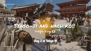 Day 2 in Tokyo!! Going to Sensou-ji &  Hachiko 【Tokyo Vlog 2023】 | Kenta-san