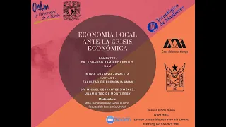 La economía local ante la crisis económica