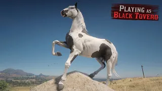 Playing as Black Tovero Fox Trotter HORSE in Red Dead Redemption 2  🔴Horse Falls and Crashes in 4K