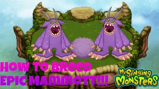 How To Breed Epic Mammott!!!