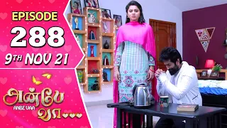 Anbe Vaa Serial | Episode 288 | 9th Nov 2021 | Virat | Delna Davis | Saregama TV Shows Tamil