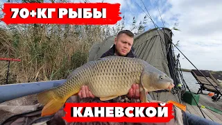 Карповая рыбалка. Ловля сазана и карпа БЕЗ ОСТАНОВКИ.Водоем Каневской.