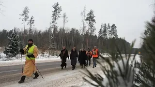 "Дай Бог каждому такую общину!". Как живёт приход уникального Свято-Никольского храма д. Латыголь