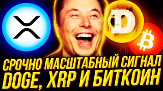 ТЕСЛА масштабно ПОКУПАЕТ XRP DOGE и CARDANO? Продавай БИТКОИН пока не ПОЗДНО. Илон Маск ТЕОРИЯ