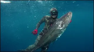 Spearfishing Philippines 2020!! +Whale Shark and Sperm Whale Spotting!!