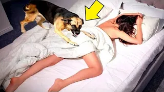 What this dog did with his owner at night shocked the whole world!