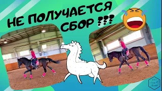 НЕСТАБИЛЬНЫЙ СБОР НА ЛОШАДИ???