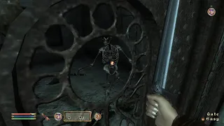 Elder Scrolls IV Oblivion - Skeleton Freaks Out