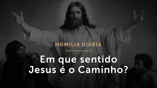 Em que sentido Jesus é o Caminho? (Homilia Diária.1468: Sexta-feira da 4.ª Semana da Páscoa)