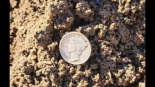 First 2024 Metal Detecting Hunt