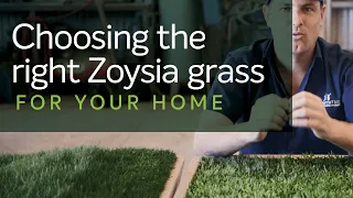 Choosing the right Zoysia Grass for your Home