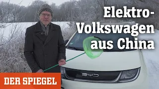 Wir drehen eine Runde: BYD Dolphin - Elektro-Volkswagen aus China | DER SPIEGEL