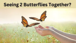 2 Butterflies Flying Together | Unlocking Spiritual Secrets