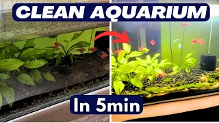 How To Clean Aquarium Water, Glass, Filter, Sand | Planted Aquarium Cleaning in Hindi