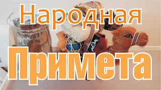 Как собирать шкатулки открытки из разных стран Арабские Эмираты