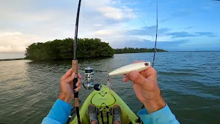 All Day Kayak Island Fishing Indian River Lagoon Florida - Exploring New Waters!!