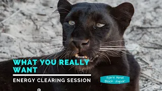 Spirit Animal Jaguar - Focus on What You WANT...