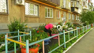 Копейчанка разводит цветник возле дома