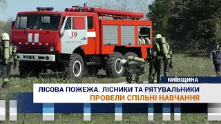 Лісова пожежа у Вишгородському районі. Лісники та рятувальники провели спільні навчання