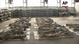 Hundreds of bodies excavated from mass grave 18 years after the war