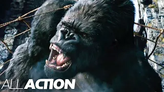 Capturing King Kong | King Kong | All Action