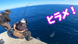 堤防アジ泳がせ釣りで爆釣劇！【前編】