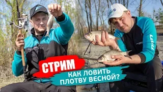 Как ловить ПЛОТВУ весной на фидер? Секреты ловли от Евгения Чертенкова и Алексея Пугача!