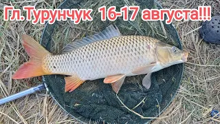 Трудовая рыбалка в + 35 на Днестре!!!