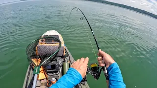 BIG Summer Lake Trout from the Kayak (Vertical Jigging)