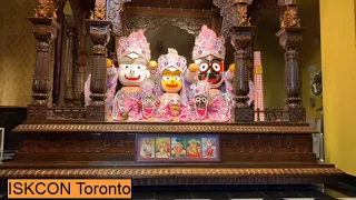 ISKCON Toronto Live Kirtan 🚩 || Festival of India 🇮🇳 Toronto