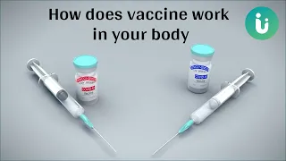 What is a vaccine | how does it work in your body? A 3D medical animation