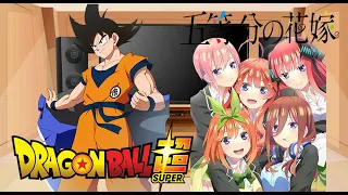 🍥🐲Las Quintillizas Reaccionan a Son Goku🐲🍥| 💫1/5💫 |🌟PRIMER VIDEO DEL AÑO🌟|💜Gacha Club💜