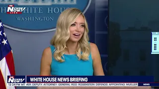 TAKING ON JIM ACOSTA: Kayleigh McEnany Reminds Acosta That Police Need To Be Protected