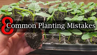 8 Common Planting Mistakes To Avoid For Beginner Gardeners