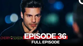 Cherry Season Episode 36 (English Subtitles)