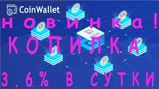 CoinWallet Новый хайп проект Копилка платит 3,6% в день Вывод вклада в любой момент