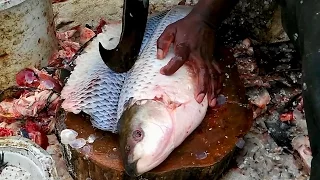 Amazing Cutting Fish | Fastest Rohu Fish Cutting | Big Carp Clean And Fillet Videos