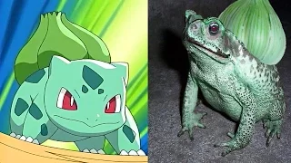 10 Pokemon That Actually Exist In Real Life
