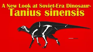 A New Look at Soviet-Era Dinosaur- Tanius sinensis