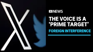 Voice to Parliament 'prime target' to foreign influence, former Twitter executive warns | ABC News