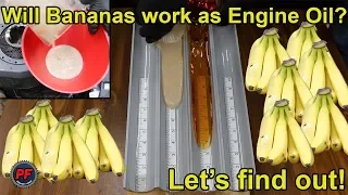 Will Bananas work as Engine Oil? Let's find out!