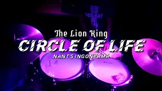 Circle of Life | Nant's Ingonyama | The Lion King (Drum Cover)