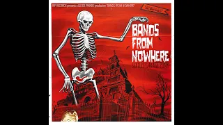 Bands From Nowhere (Sixties Garage Punk)