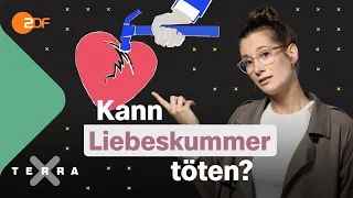 Liebeskummer: Warum wir so leiden und was dagegen hilft! | Terra Xplore mit Lisa Budzinski