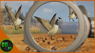 Goose Hunting with The New Red Dot Sight! Call Of The Wild